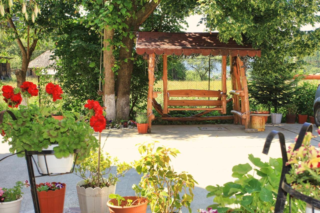 Pensiunea Paradiso Poiana Teiului Ngoại thất bức ảnh