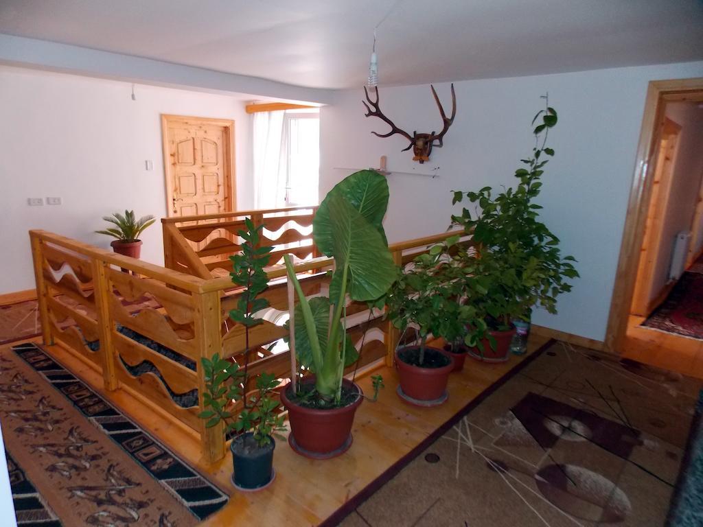 Pensiunea Paradiso Poiana Teiului Ngoại thất bức ảnh